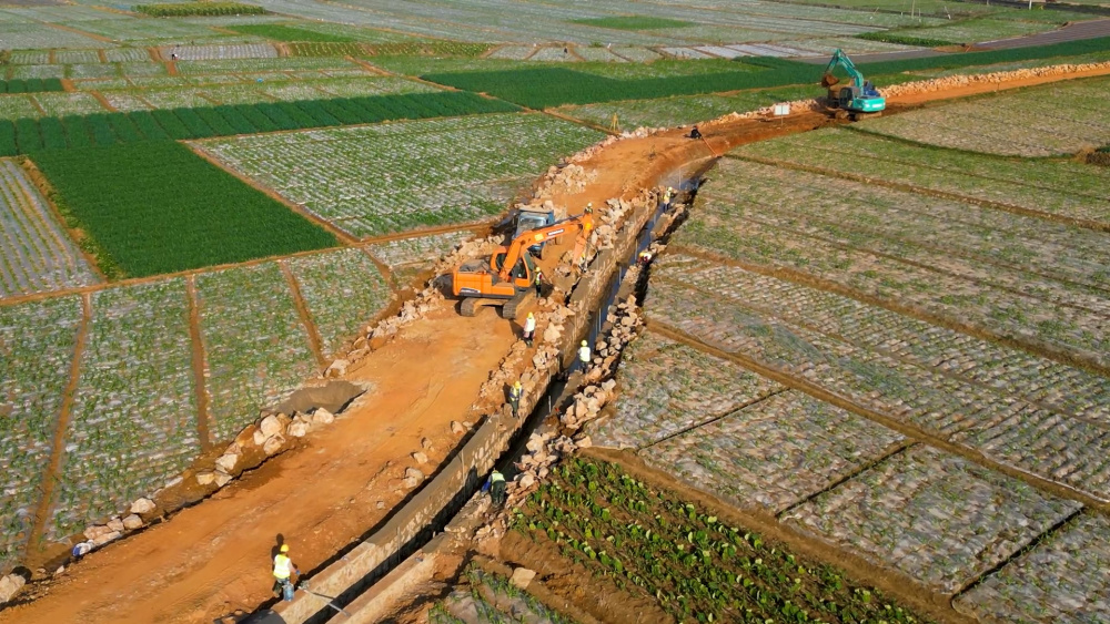 xxxwww日本掀起网络热潮新动态引发关注，多平台用户热议不断，相关内容持续刷屏，三亿网民争相讨论