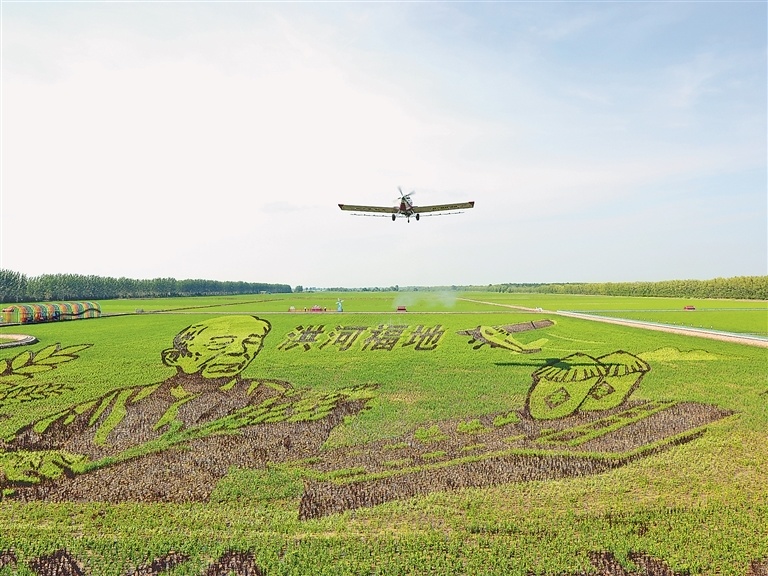 从"一粒糯米"感受今日北大荒