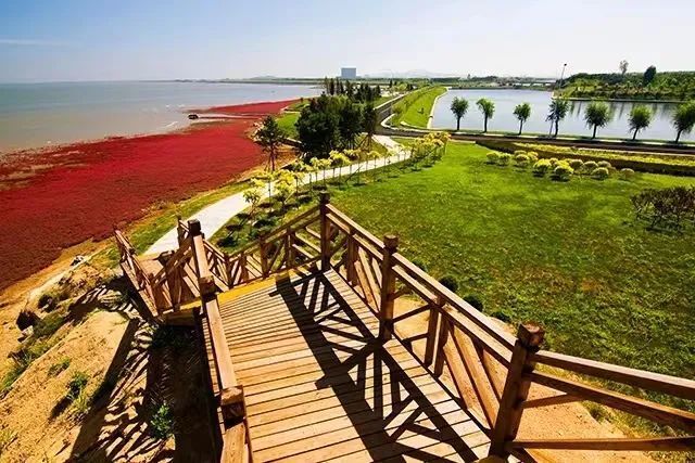 赶海有多"上头",来营口就知道了!