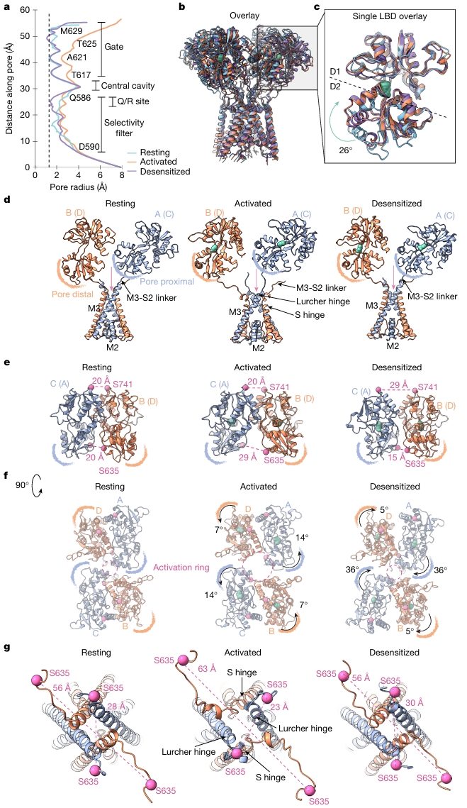 心电图机器怎么看追问weekly ｜ 过去一周，脑科学领域有哪些新发现？_https://www.jmylbn.com_新闻资讯_第3张