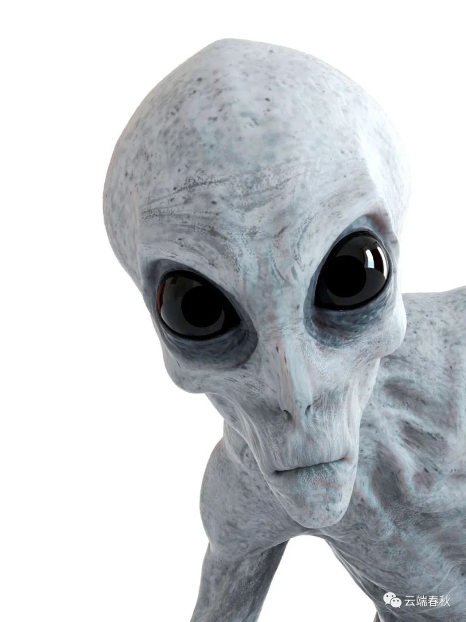 外星人到底长啥样?_腾讯新闻