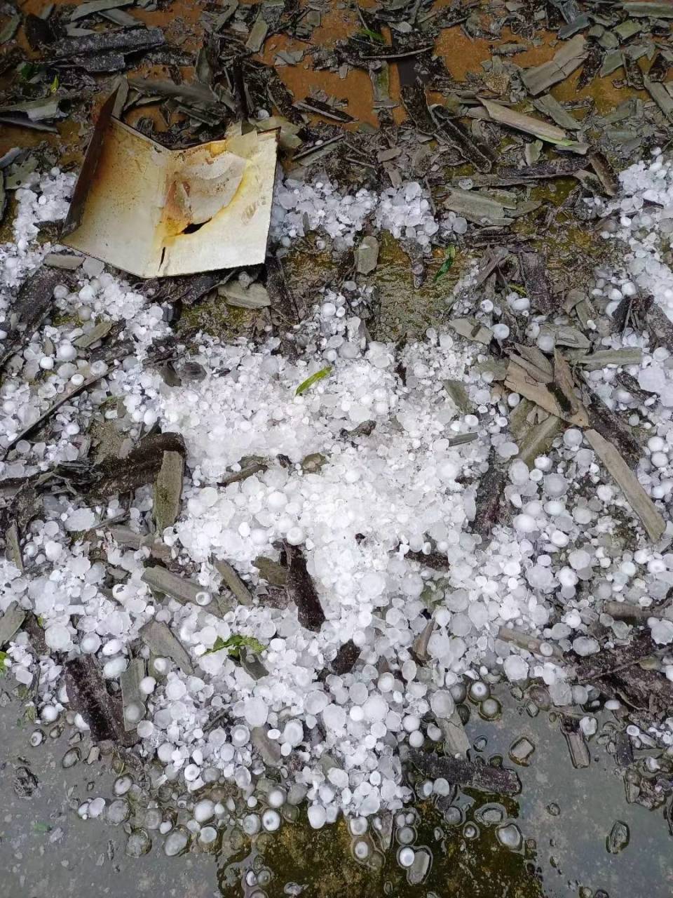 长沙突降冰雹,宁乡有房顶被砸成"筛子"!当地多位居民讲述