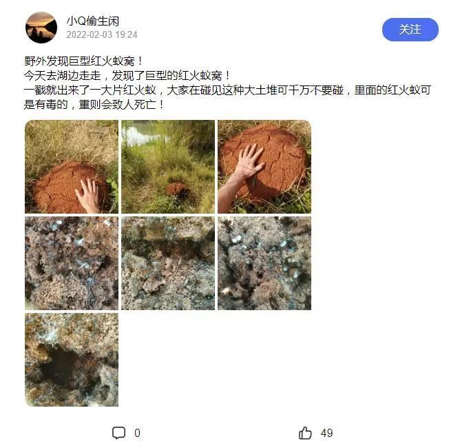 剧毒!已入侵12省份,发现立即上报