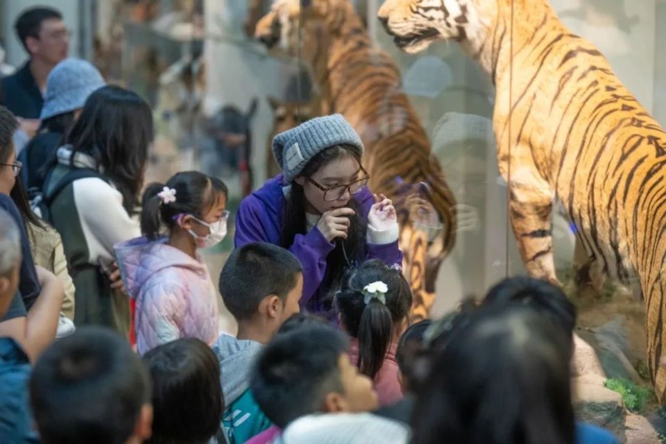 国家动物博物馆:儿童节当天14周岁以下儿童可免费参观