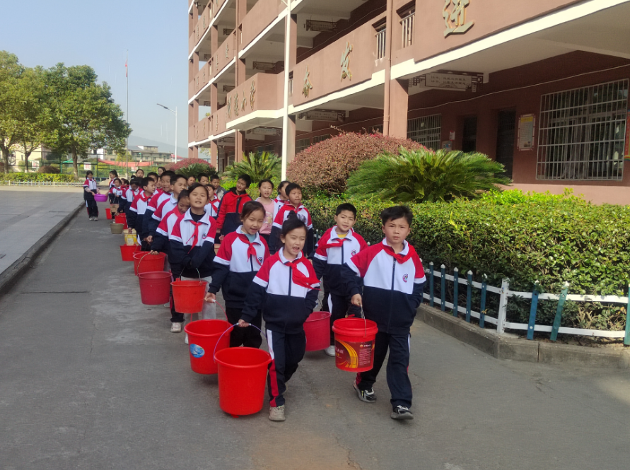 大岗中心小学开展树木认养活动_腾讯新闻