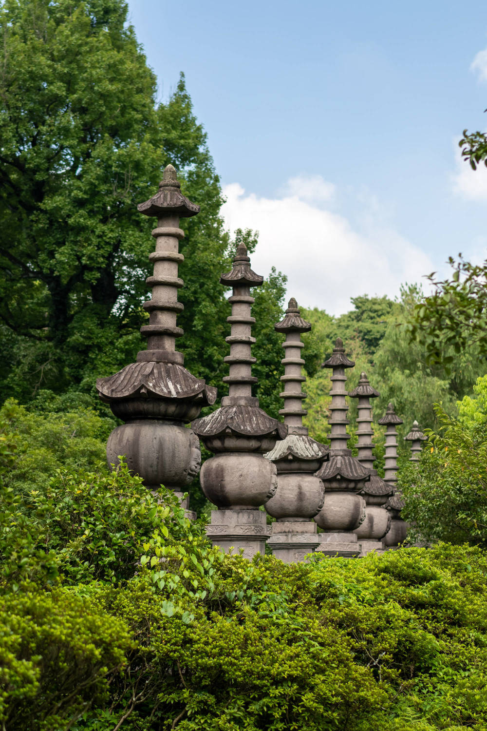 秋游登高记 