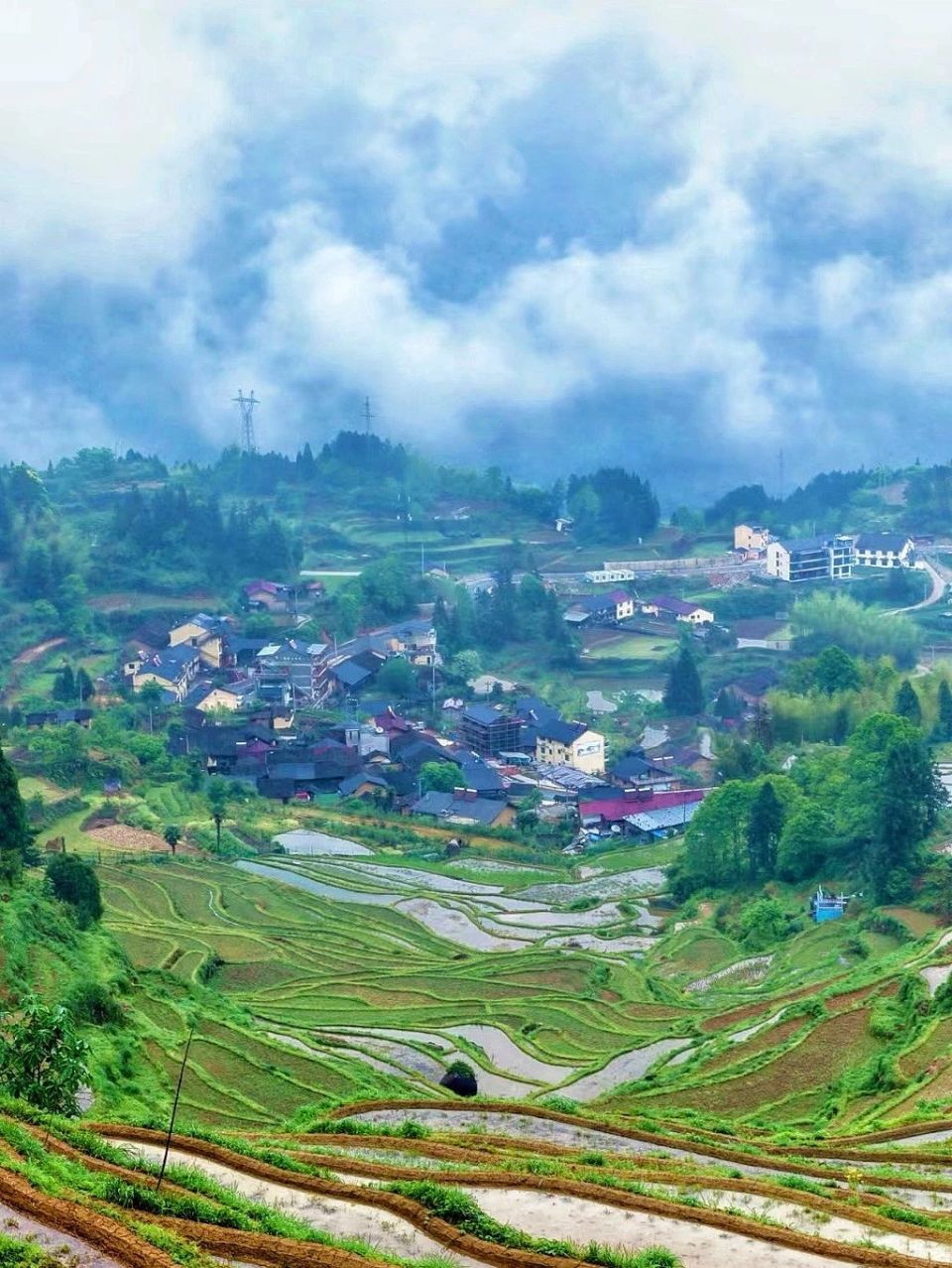 图源:masuma,青橙,吃饭超快,llllisa0,qiuqiuu,小