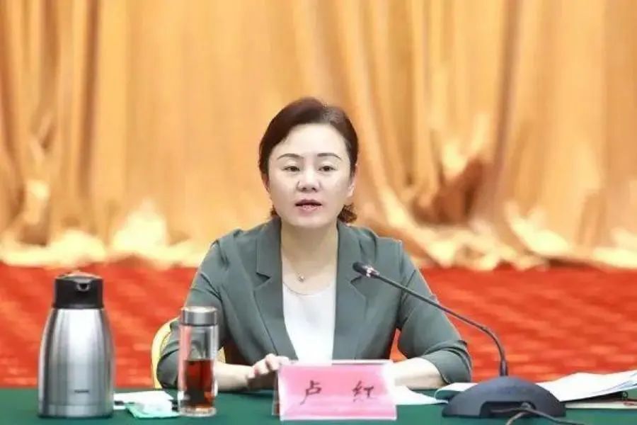 中共中央批准，直辖市副市长晋升市委常委！_腾讯新闻
