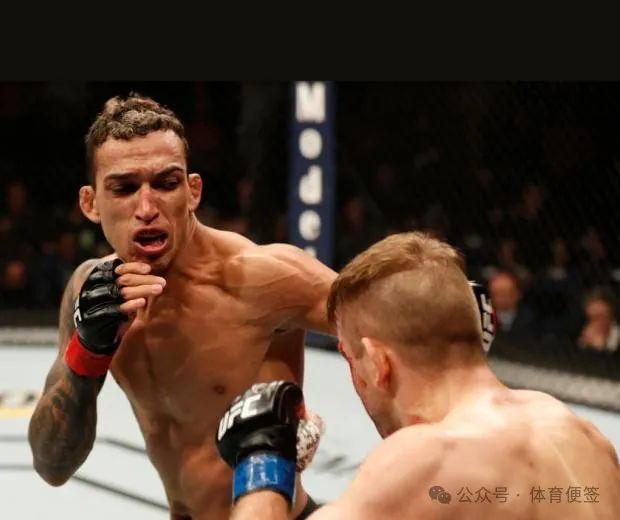 一夜放纵,白大拿输掉300万美元