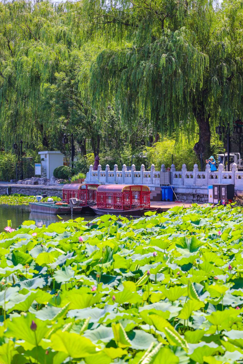 西海湿地公园图片图片