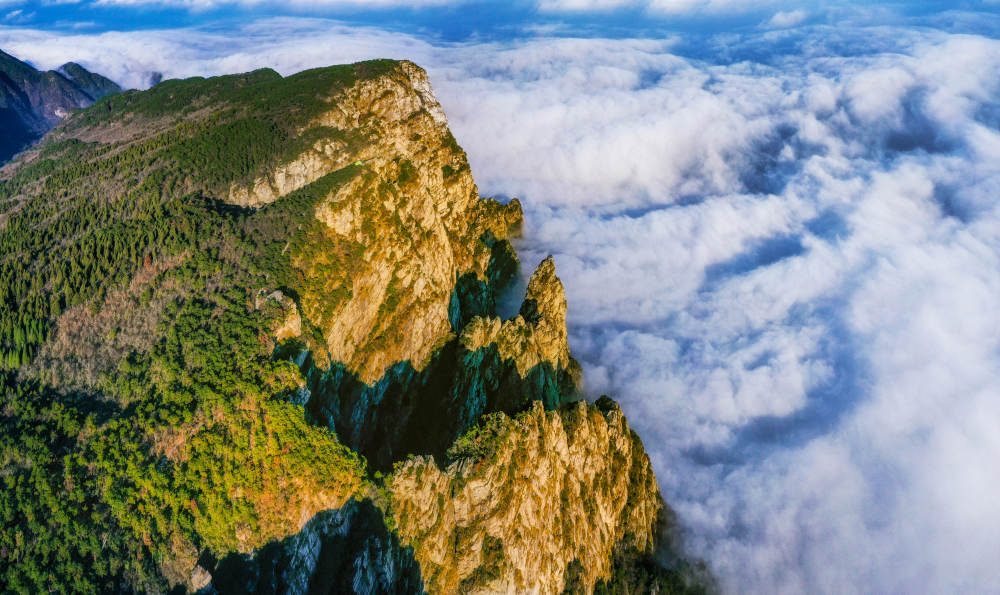 世界气象日丨他们隐居山中钻研云里雾里