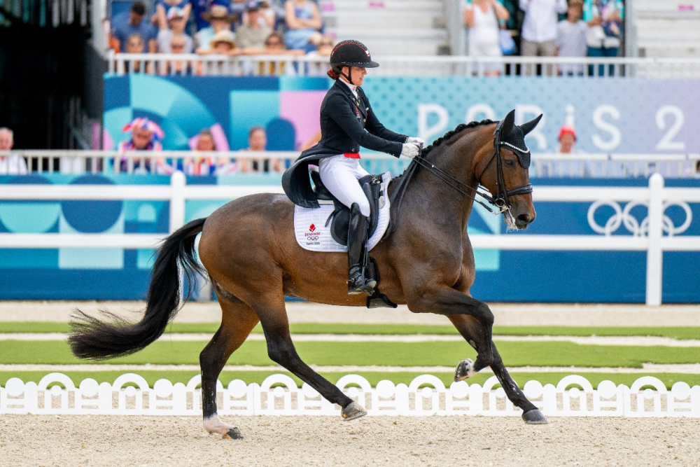 216的全场最高分,这给德国队的双奥运冠军冯·布雷多-韦恩德尔施加了