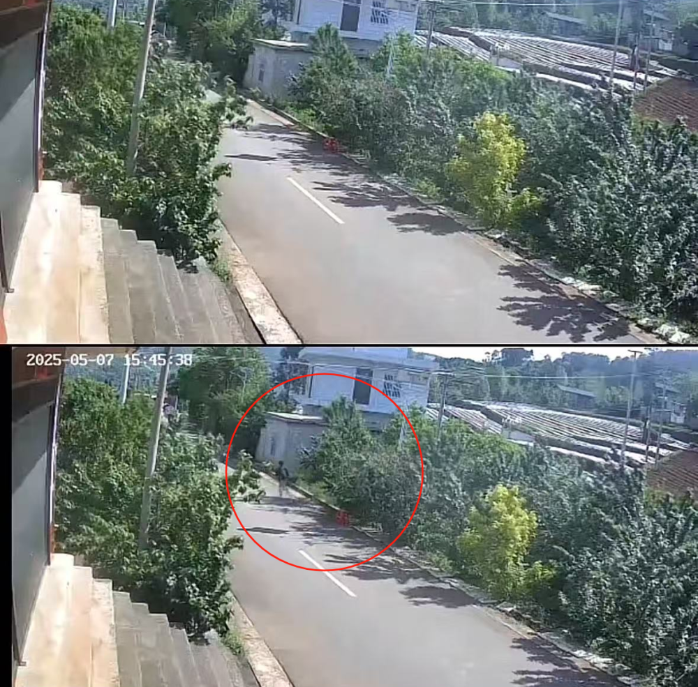 老人摘樱桃摆路边被人顺走 家属报警:不要赔偿要态度