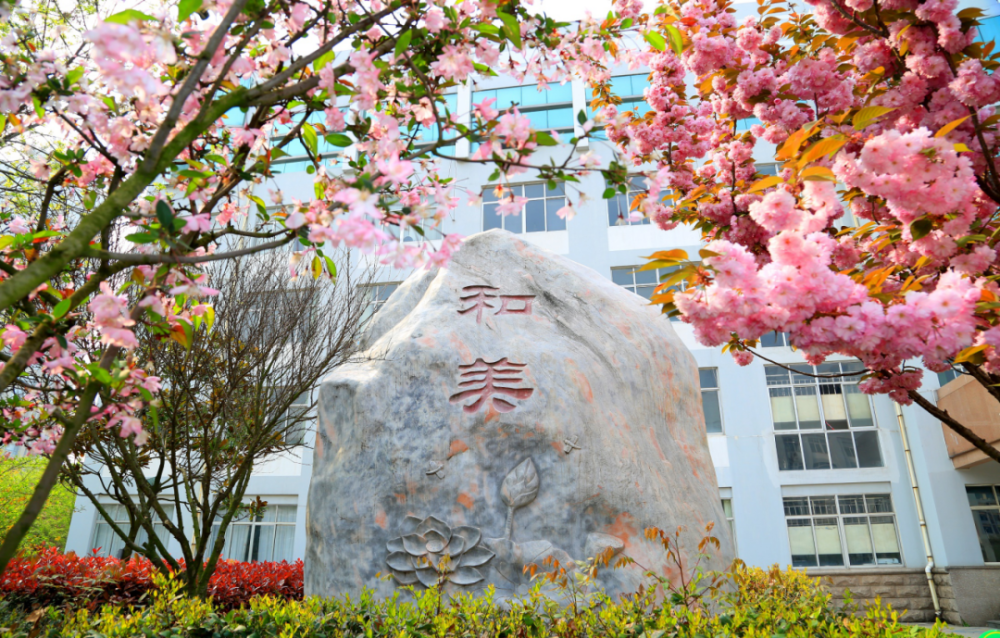 新营小学扩建项目竣工!它是这个样子的