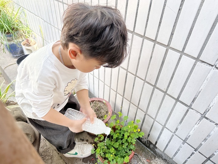 用淘米水澆花製作節電標誌這群幼兒園娃節盡所能