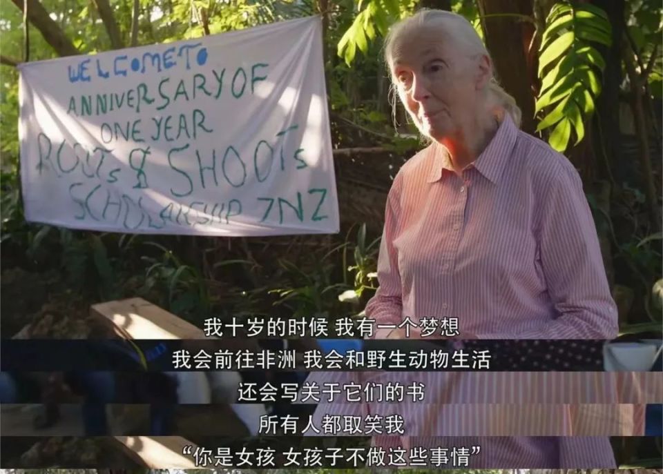 当年被写进教科书的女神，现在这样了？_腾讯新闻