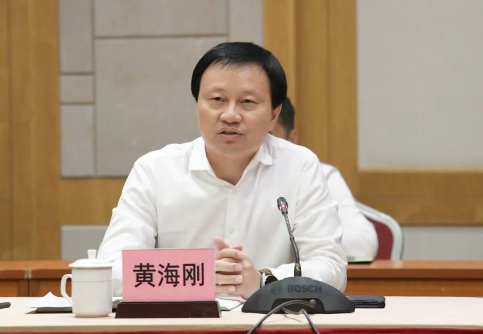 七星关区委副书记,区长黄海刚,天河区委副书记,区长陈建荣出席会议并