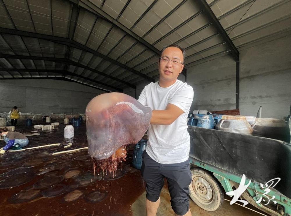 "中国海蜇第一村"持续产业升级