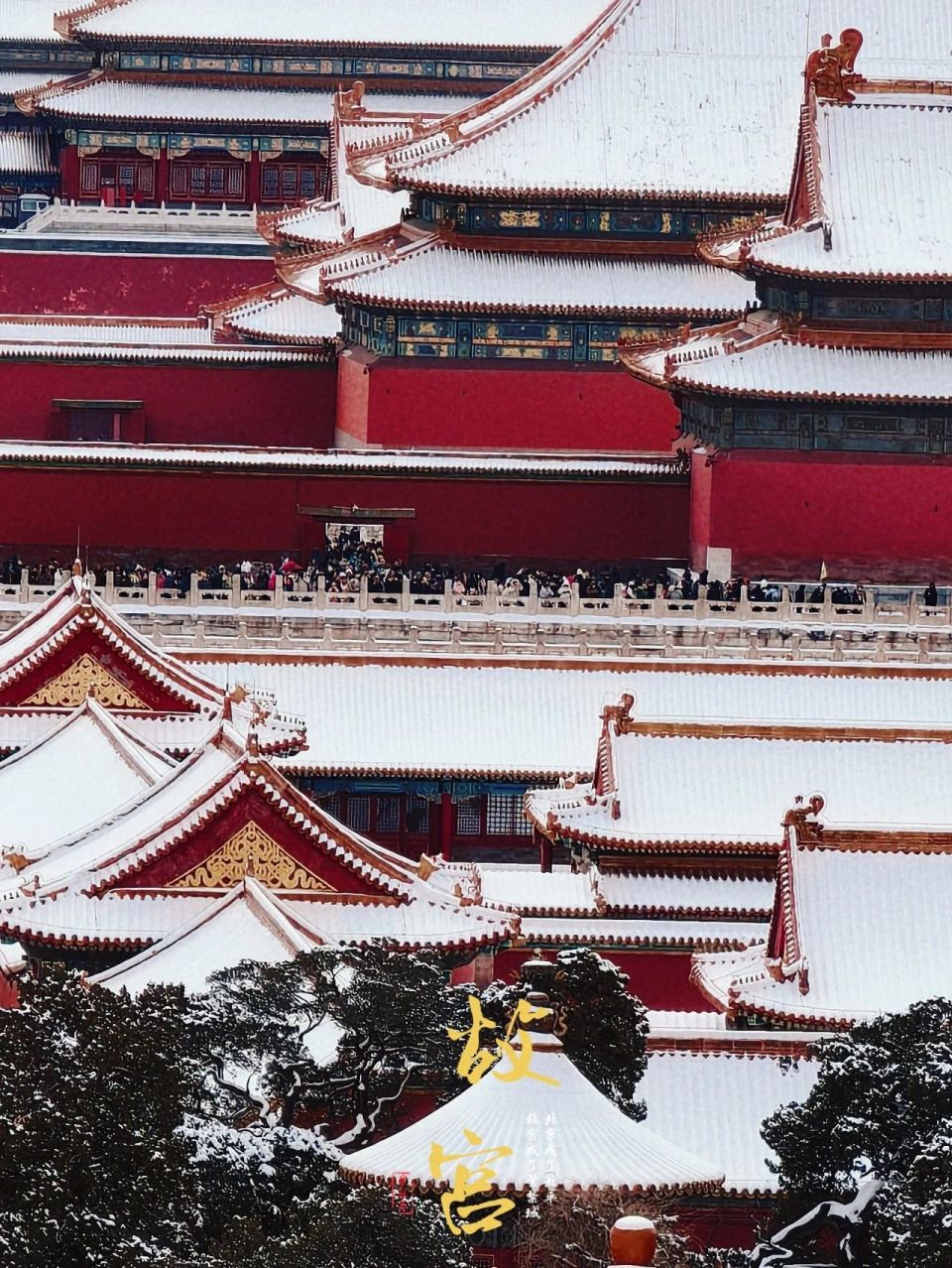 最美雪景怎么少得了故宫呢?