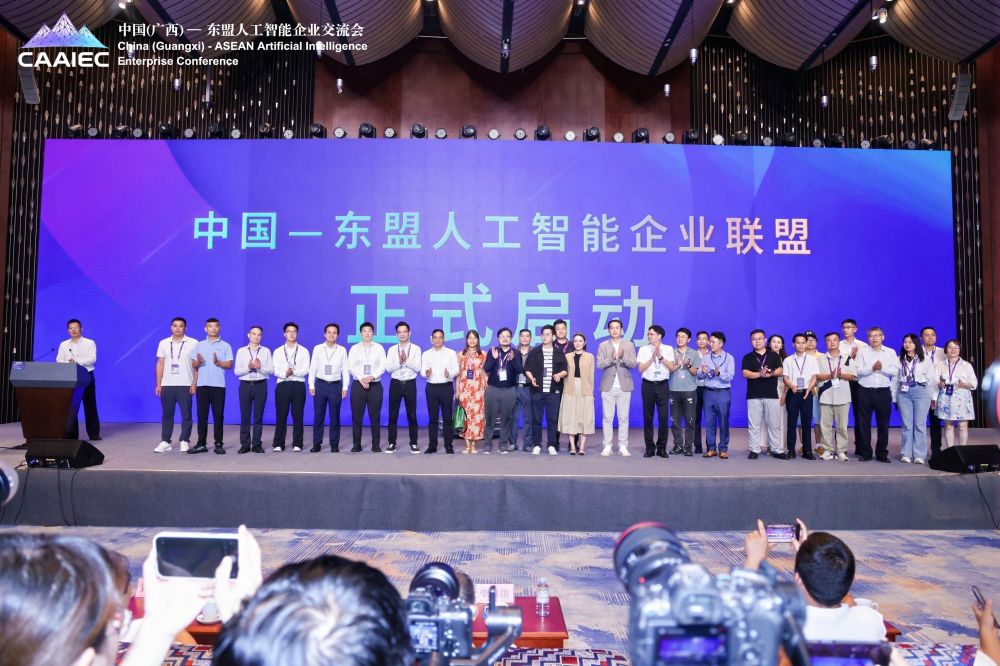 2025中国—东盟人工智能南宁大会圆满落幕 · 原文图片 26