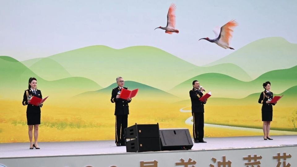 2026最美油菜花海汉中旅游文化节盛大启幕!_腾讯新闻