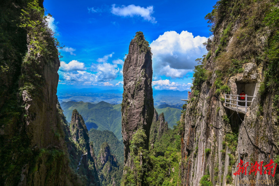 品味莽山五指峰-腾讯新闻
