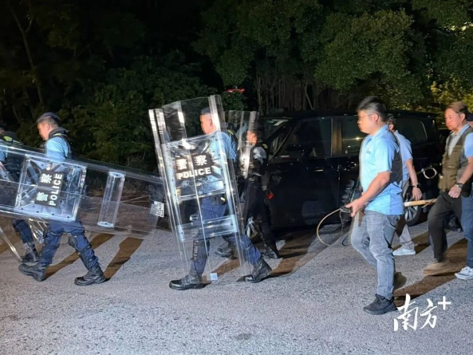 香港一女子疑遭狗袭击身亡，警方：已捕获三只流浪狗_腾讯新闻