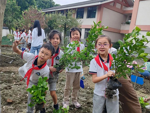 都江堰市聚源小学:让劳动教育为学生的成长赋能