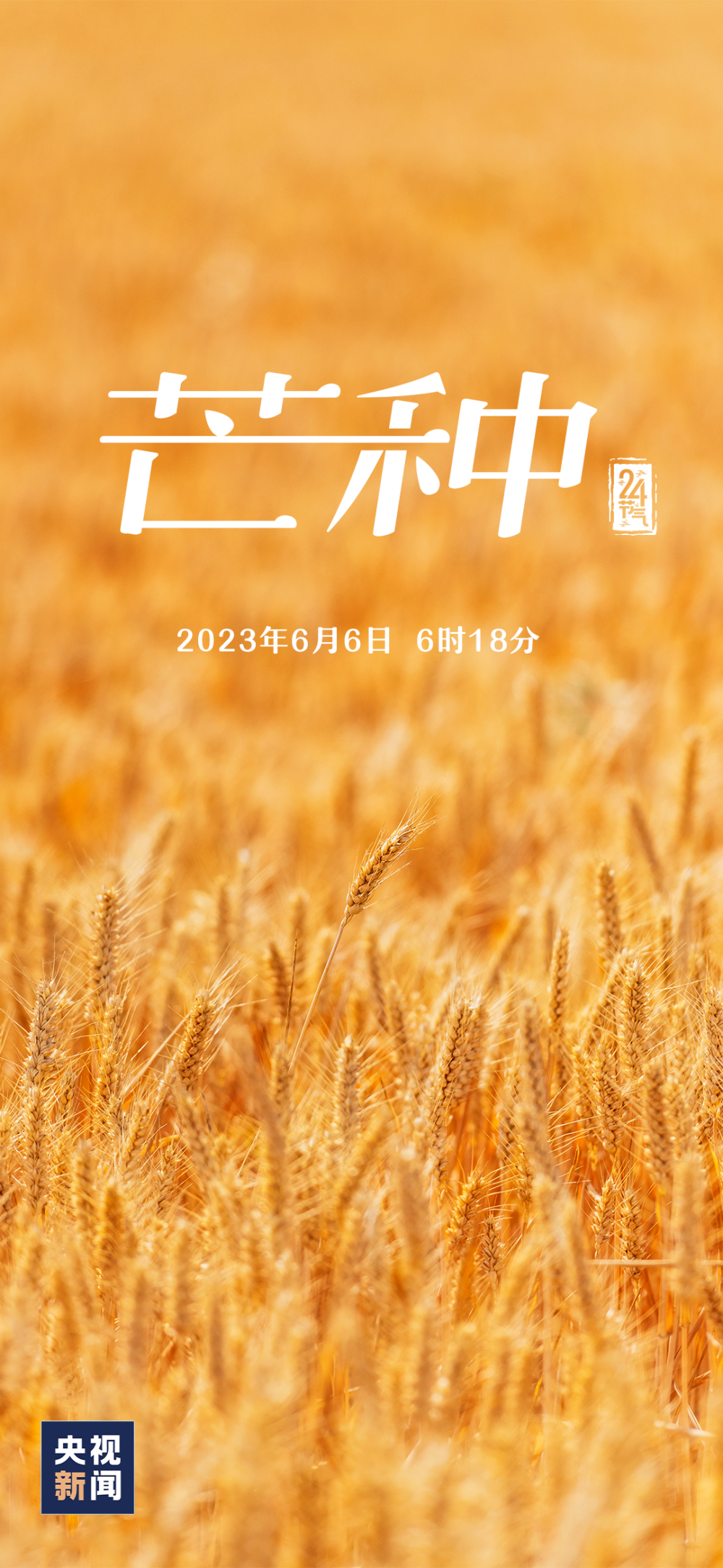 今日芒种丨高考期间天气出炉_腾讯新闻