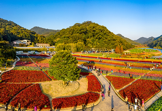 森林公園圖片來源:南海西樵均可免票暢遊無論大小朋友(不限戶籍)佛山