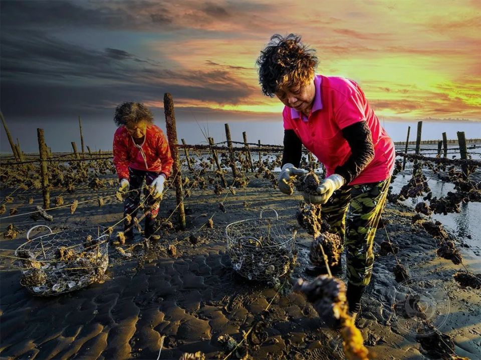 揭晓 | 2024年第十三届台中国际摄影艺术展(人文组)获奖作品