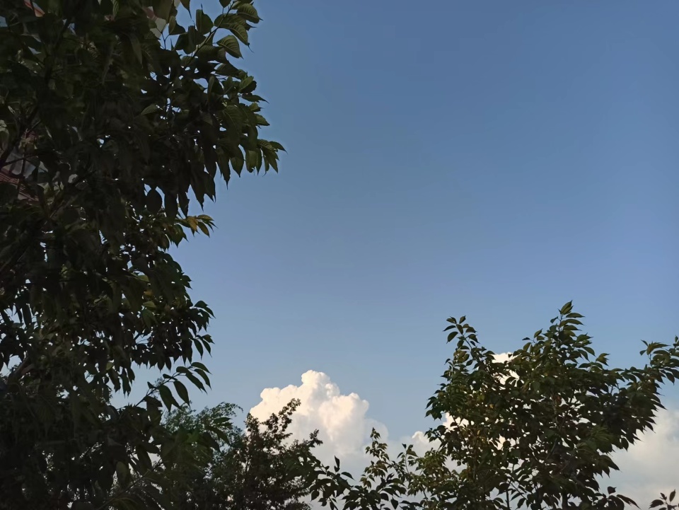 究竟谁亏欠了谁?