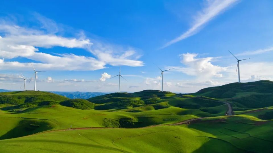 绝美!摄影家镜头下的黑巴草场让人移不开眼_腾讯新闻