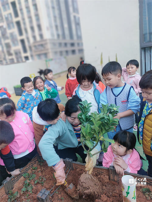 幼儿园植树节活动照片图片