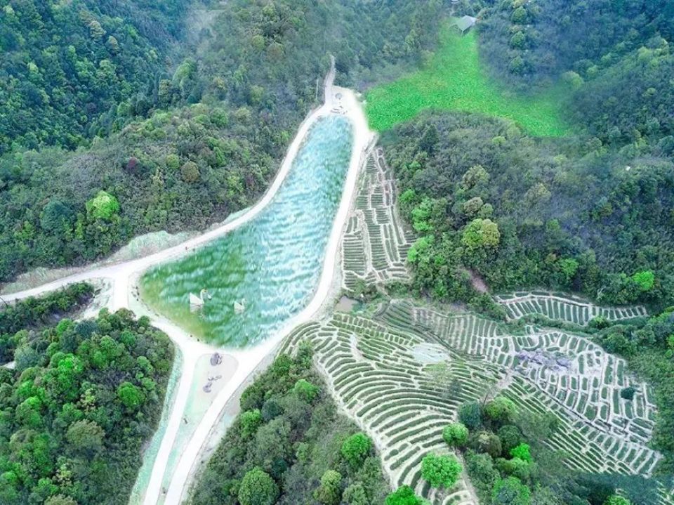 【遇见春茶】高鼎茶庄园:享受美景与香茗的双重治愈