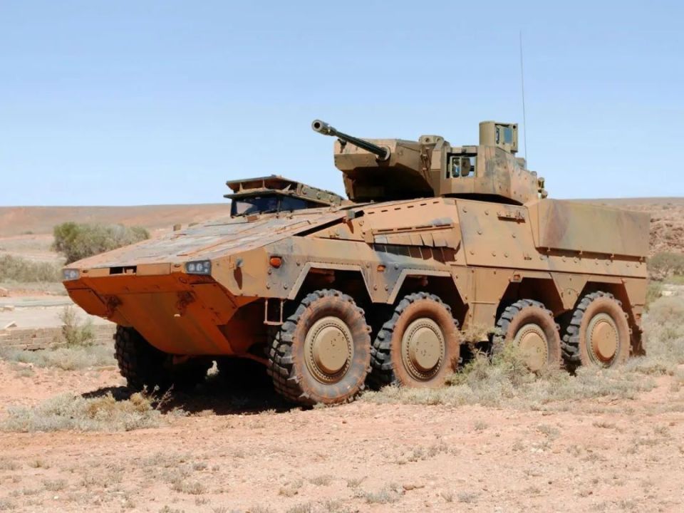 自带马桶座的德国拳击手重型轮式装甲车