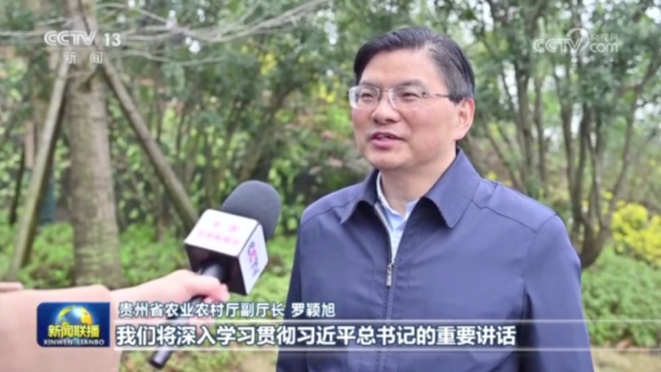 央视《新闻联播》聚焦贵州：抓好特色农业 推进乡村全面振兴_腾讯新闻