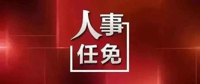 KOK体育app官方最新版在IGTS 2026现场展示测试场景