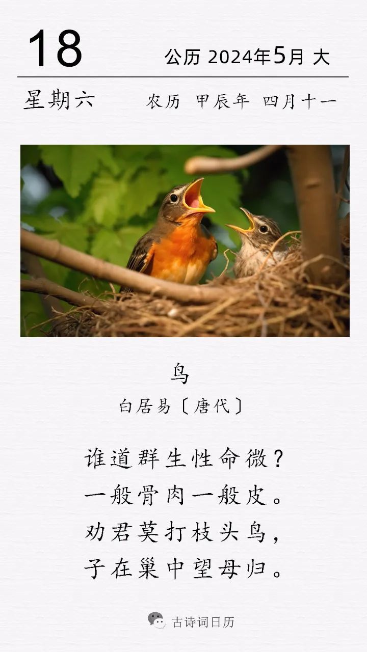 诗人有感这些鸟儿的不幸遭遇,劝诫人们善