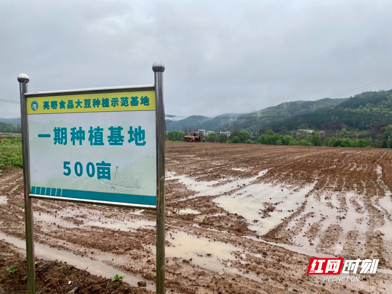 [南方生姜网-图片加载]