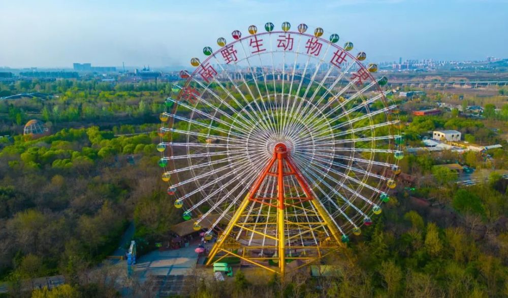 摩天轮,感受魔力盒子在天空中画圈圈的美妙,更可将整座动物园尽收眼底