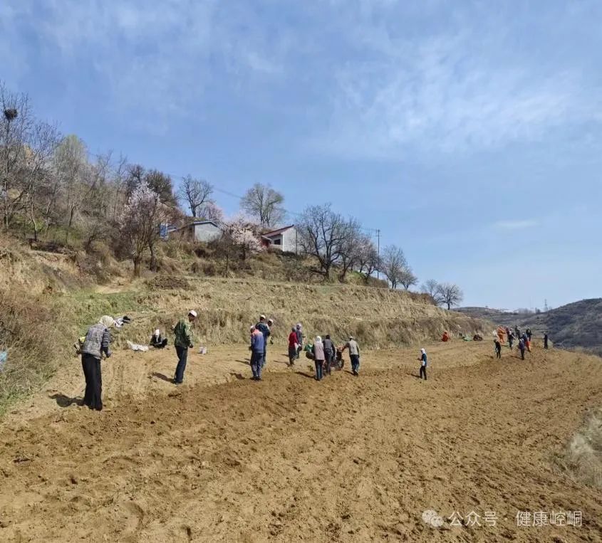 强信心 看发展丨让中医中药之树绽放璀璨生命之花