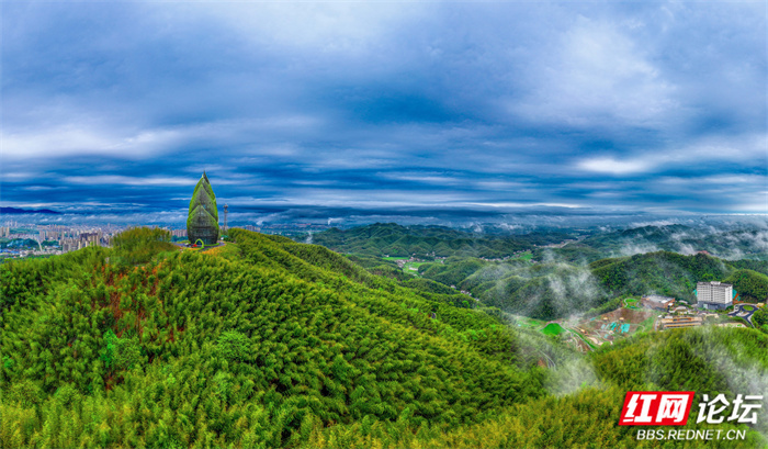 摄影:邓燕盛 陈颐龄 刘太平▲图说:桃江县桃花江竹海景区内的"大