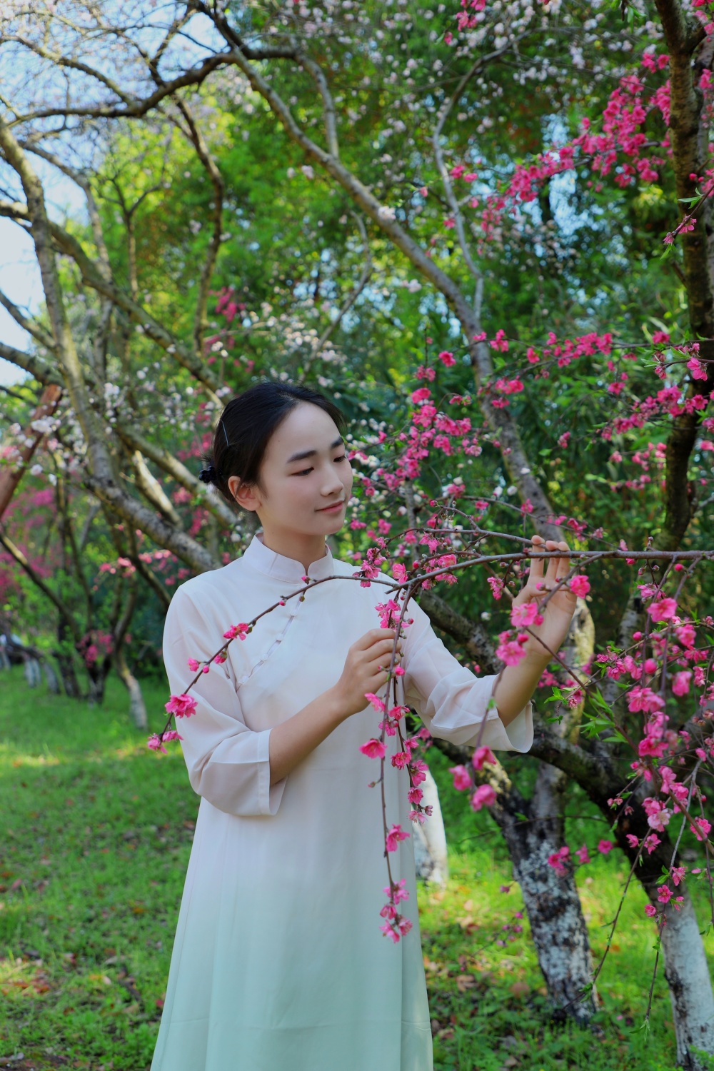 桃林淑女