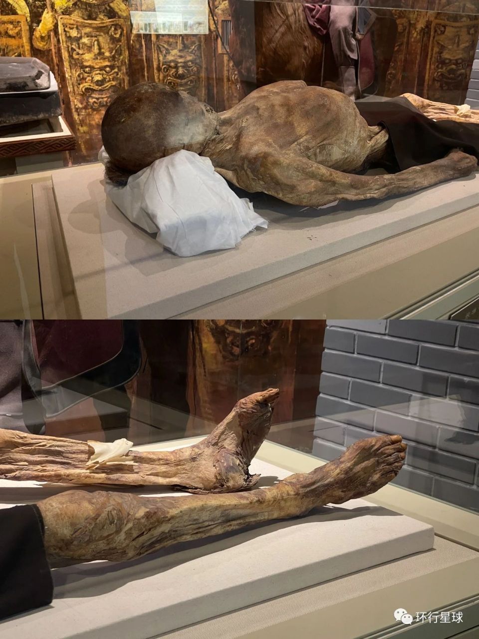 新疆干尸,终于看见了_腾讯新闻