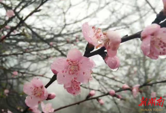 志坚似"石" 教勤如"牛"——双峰县山区石牛中学