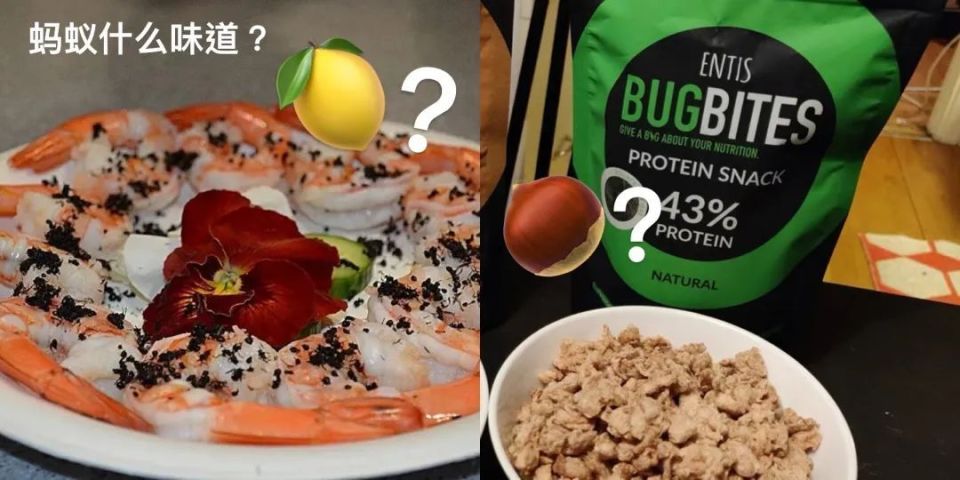 撒一些黑蚂蚁,也能获得和柠檬相似的酸味.