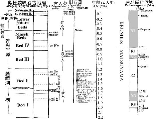 第四纪研究| 泥河湾盆地鹿角梁发现早更新世动物化石和旧石器_腾讯