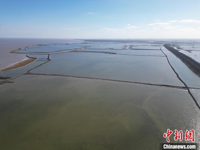 (新春走基层)江苏大丰:生态"除草",呵护世界自然遗产_腾讯新闻