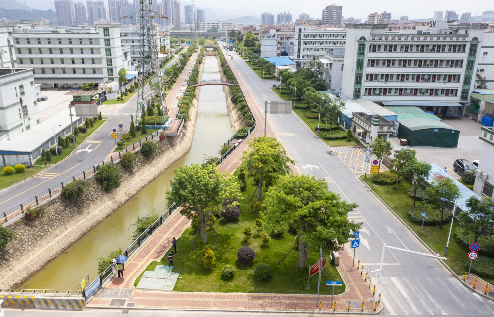 百千万工程 城管进行时 | 塘厦:高标准建设"七个一",打造城市靓丽风景